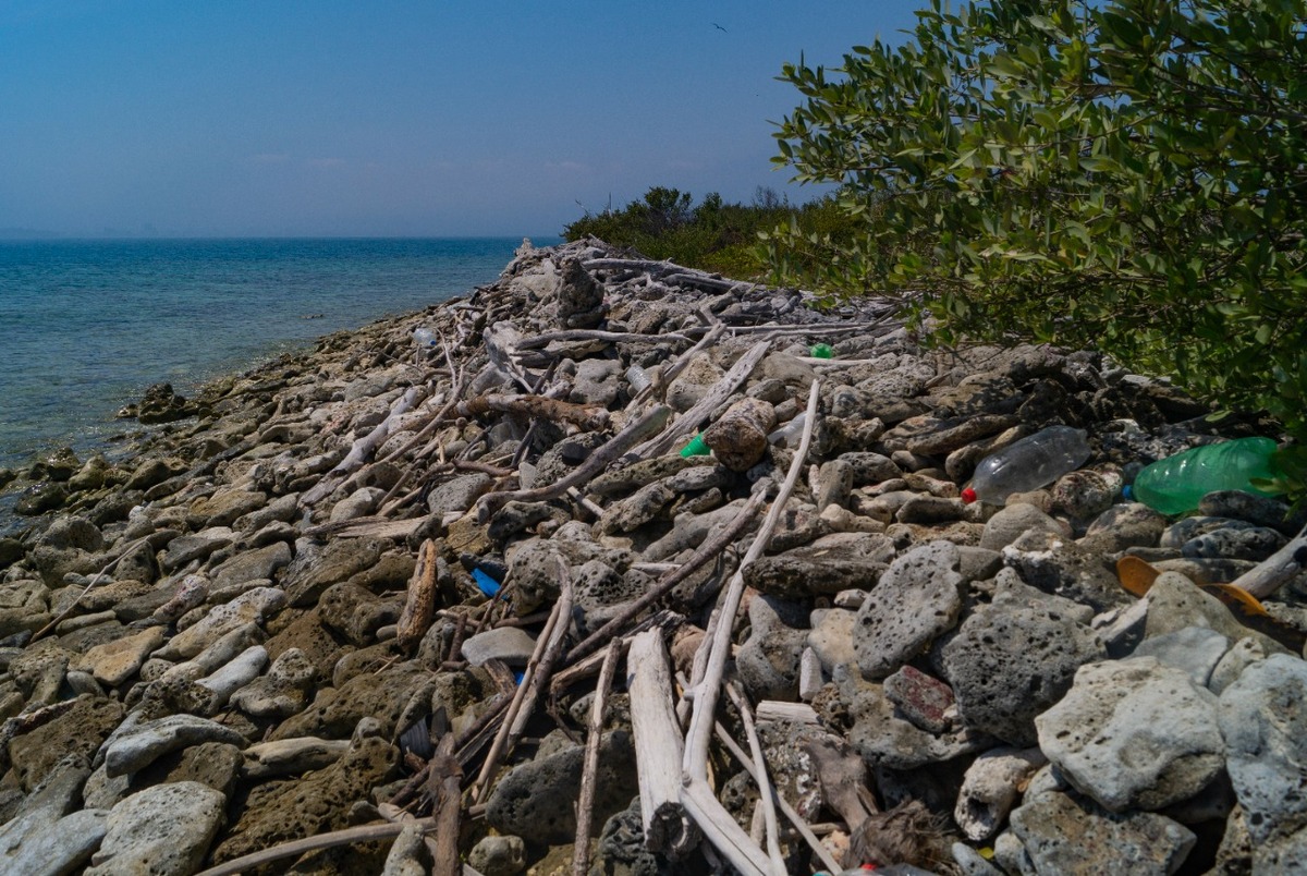 Amenaza plástica: un problema en las costas veracruzanas