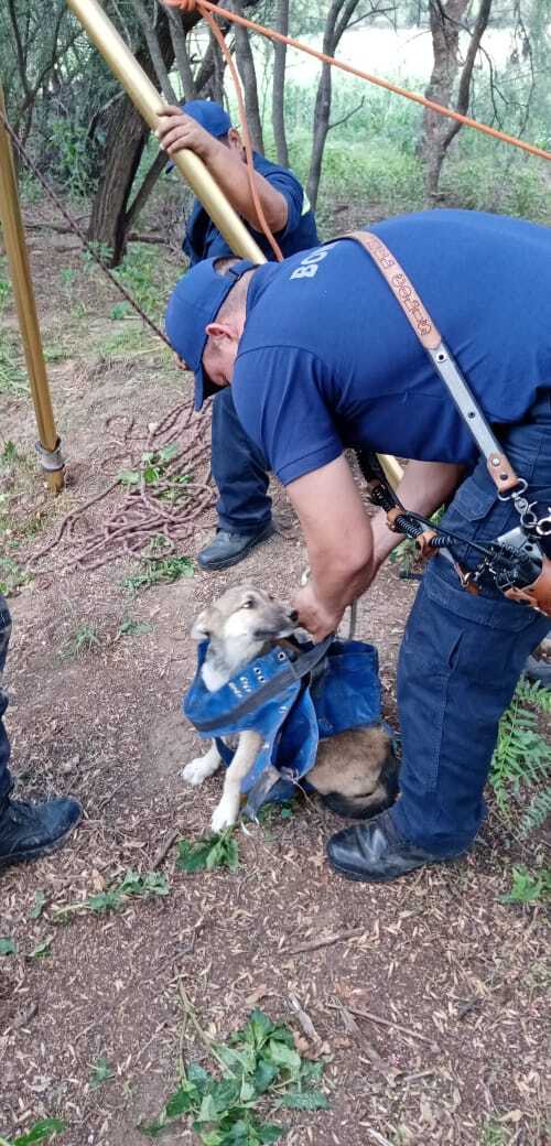 Luego de dos horas de maniobras, los rescatistas pusieron a salvo al perrito. (Especial)