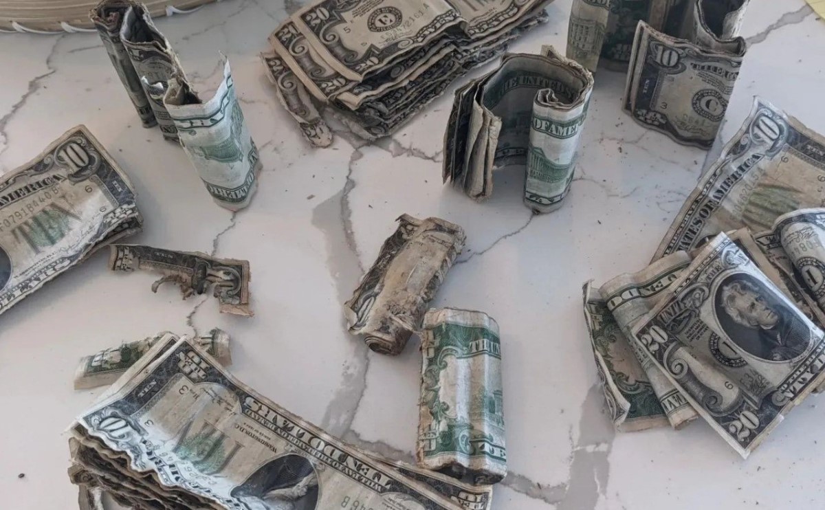Los billetes fueron hallados enrollados, dentro de varios paquetes. | Facebook Suzzane Gilson