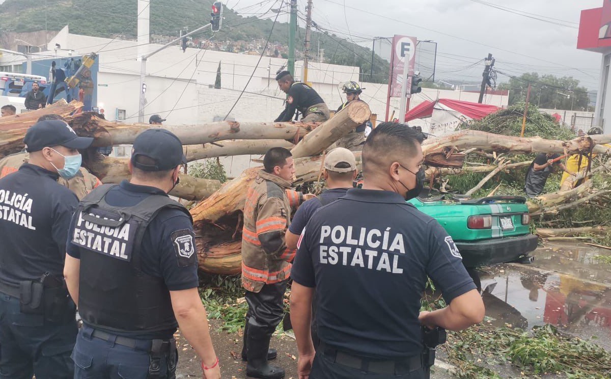 Las fuertes lluvias en la región provocaron la caída de al menos tres árboles. (Especial)