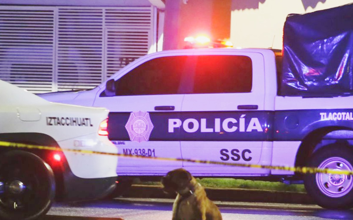 Hombre muere atropellado en CdMx y su perro cuida su cuerpo | Enrique Luna