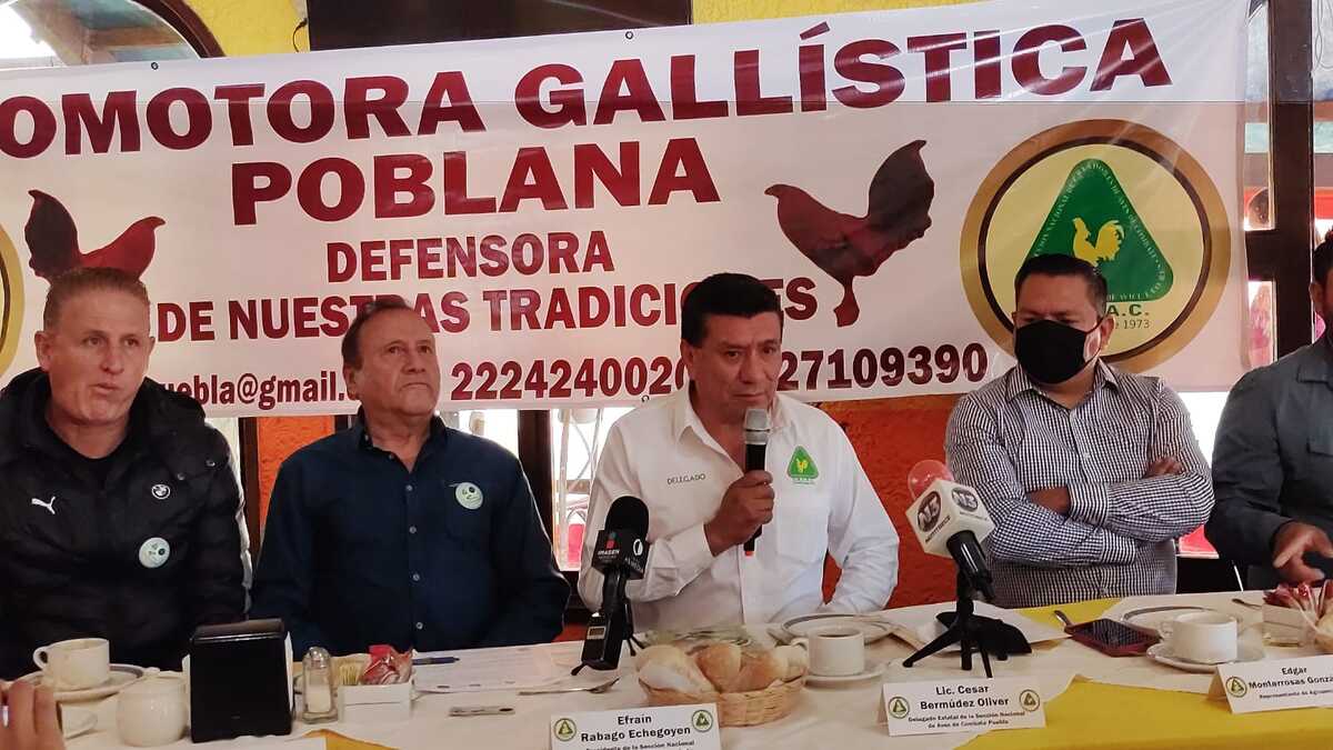 Promotora Gallística Poblana | Angie Tenahua