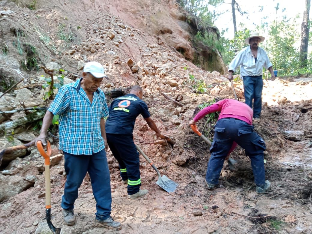 Protección Civil acudió a la zona afectada | Especial