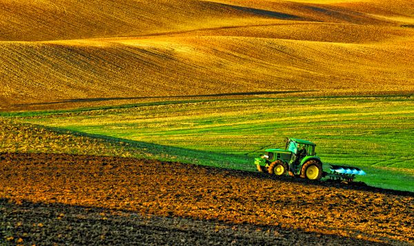 Hay acuerdos de arrendamiento que abarcan más de 30 millones de hectáreas de tierra en 78 países. Shutterstock