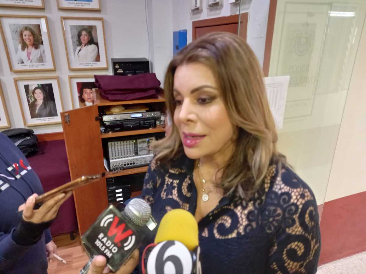 Claudia Salas, diputada de MC (Roberto Hurtado)