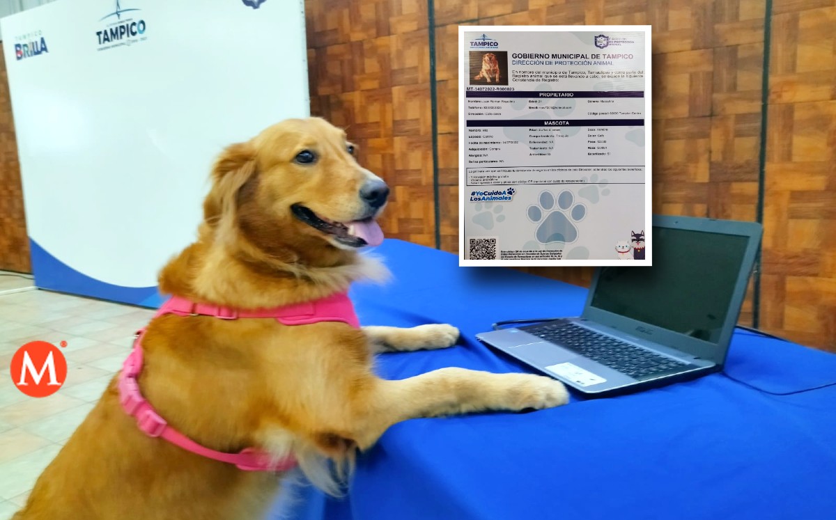 Se trata de una constancia de registro y se otorga una personalidad a las mascotas. (Especial)