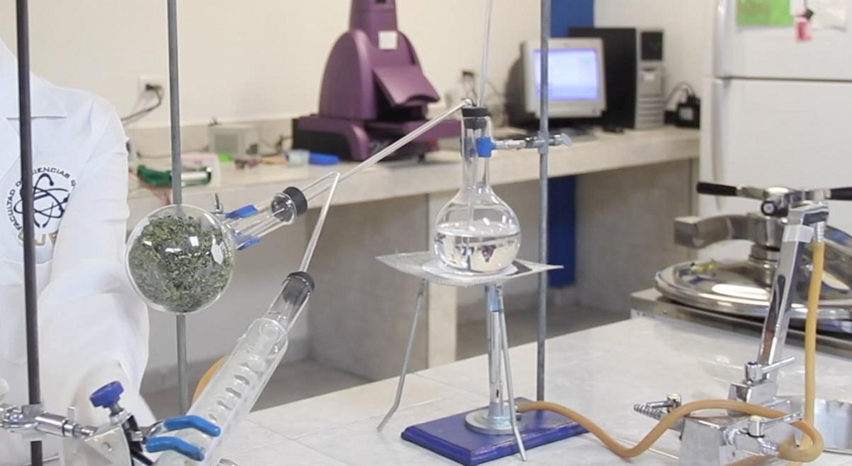La investigación científica aportan un avance para la medicina. (cortesía)
