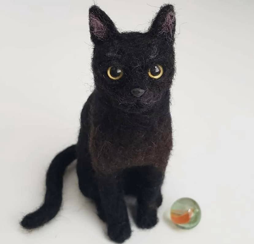 Retratos de mascotas