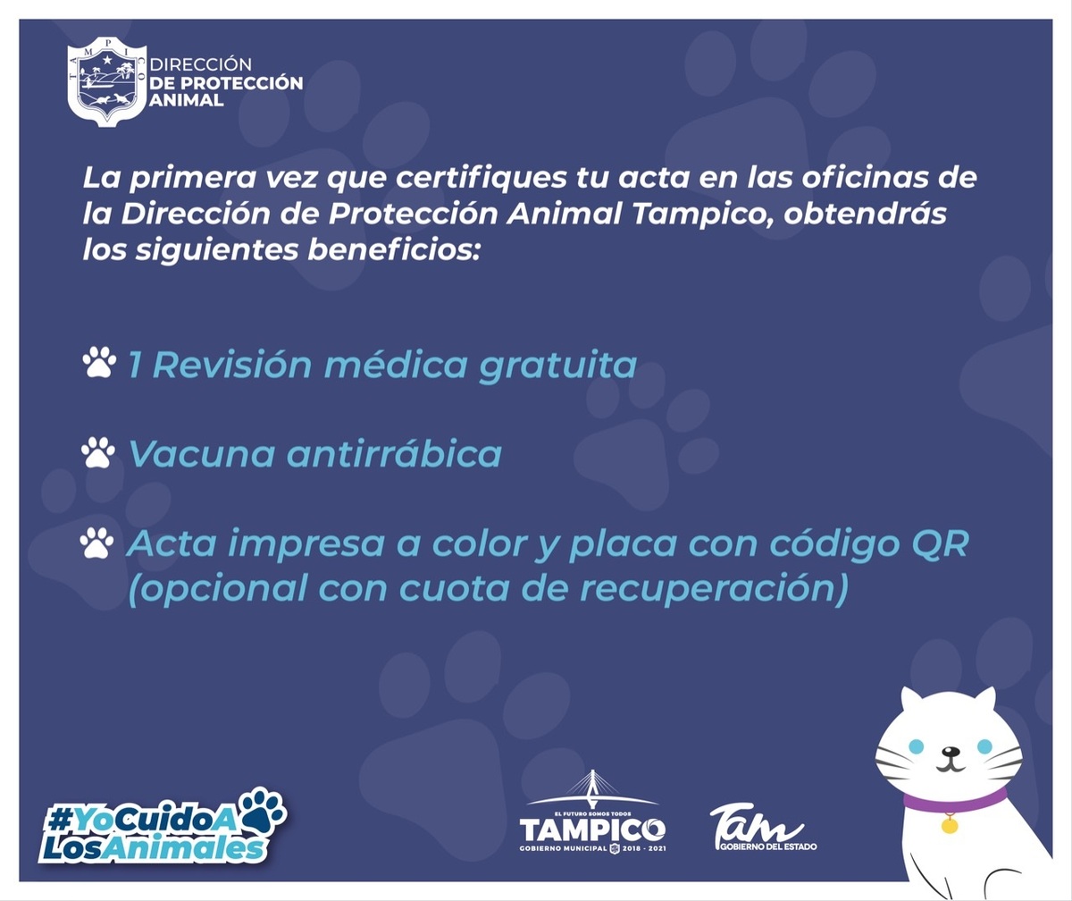 https://cdn.milenio.com/uploads/media/2022/07/18/registro-de-macotas-en-tampico.jpg