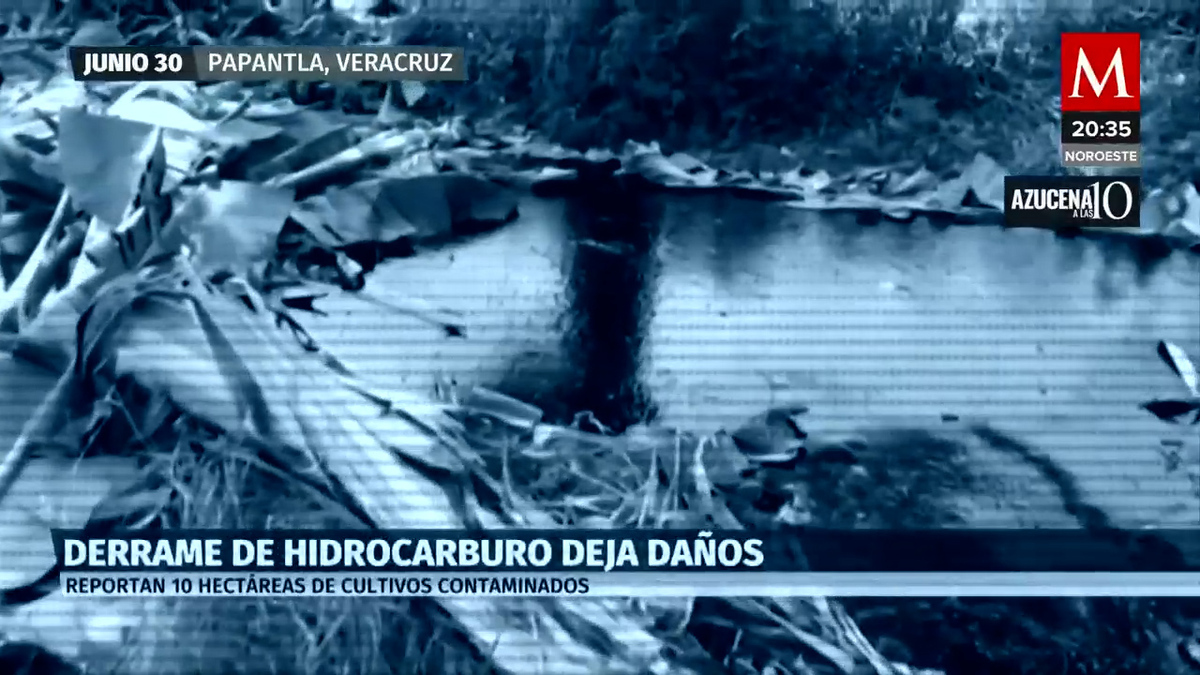 En Veracruz, derrame de hidrocarburos afectó a las cosechas de Papantla