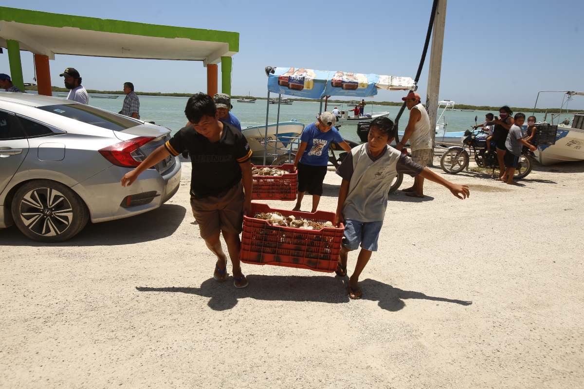 pescadores