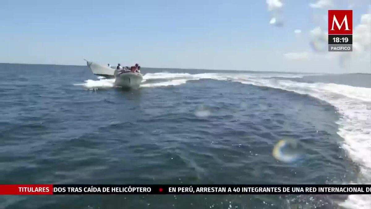 Pescadores defienden las costas de Yucatán