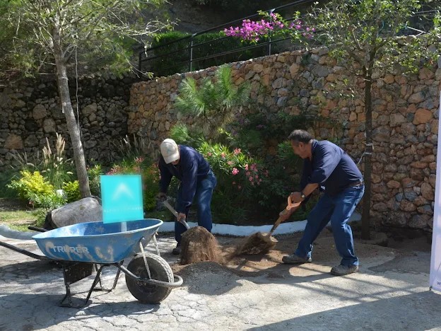 En NL prohibirán áreas verdes en plazas comerciales y edificios. Foto: Archivo