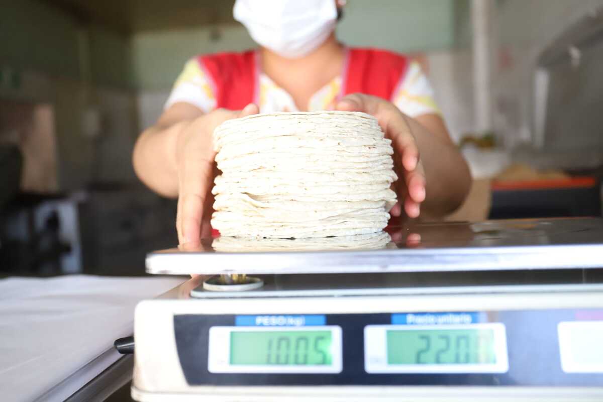 Hasta 30 pesos podría incrementarse el kilo de tortilla. (Rolando Riestra)