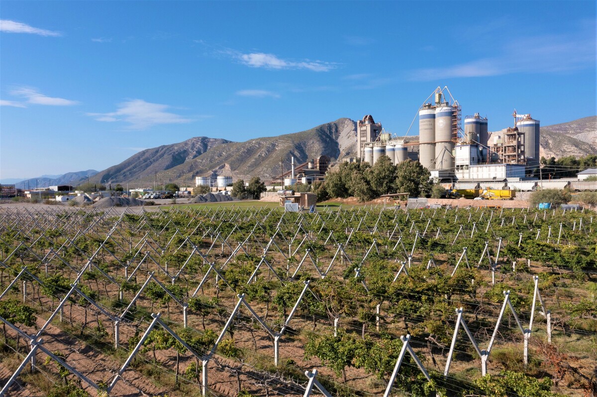 Planta de Cemex en Torreón, Coahuila | Especial
