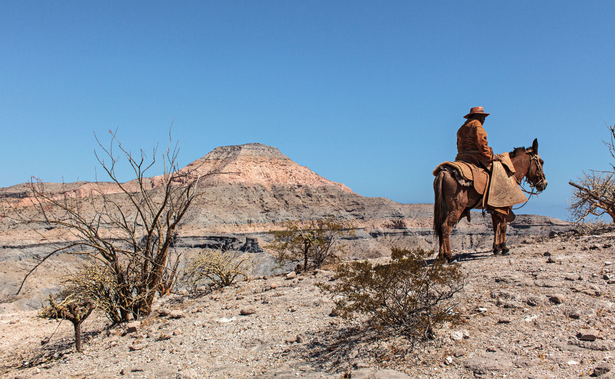 'Con el sol y la historia a cuestas' de la serie Cerca de la tierra, 2018. (Foto: Elizabeth Moreno Damm)