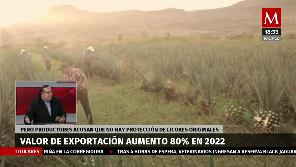 Aumenta la exportación de Mexcal tras pandemia