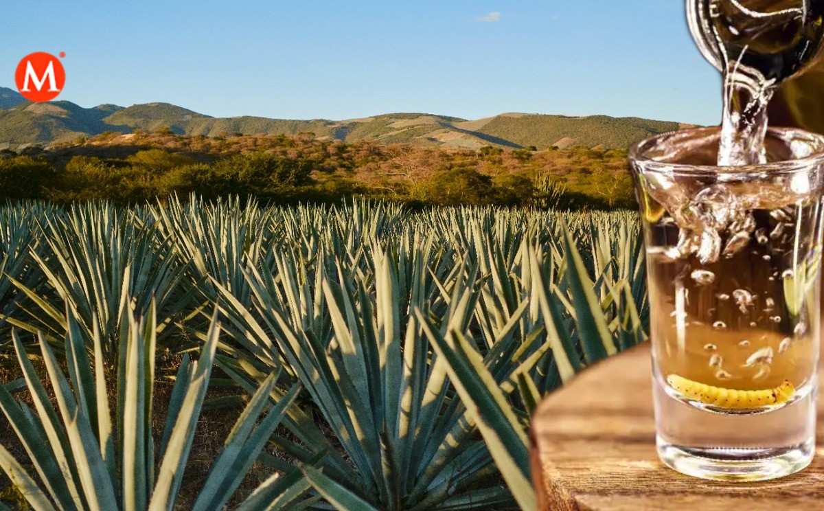 Tequila