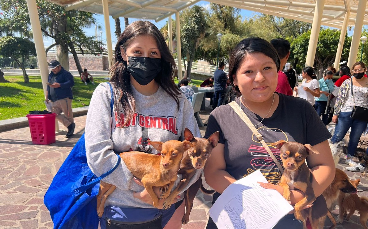 En Parque Hidalgo de León esterilizan a 150 mascotas / Estefanía Ortega