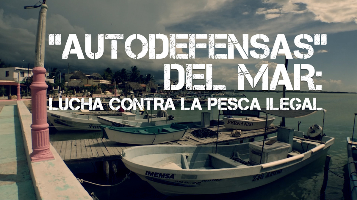 Autodefensas del mar: lucha contra la pesca ilegal