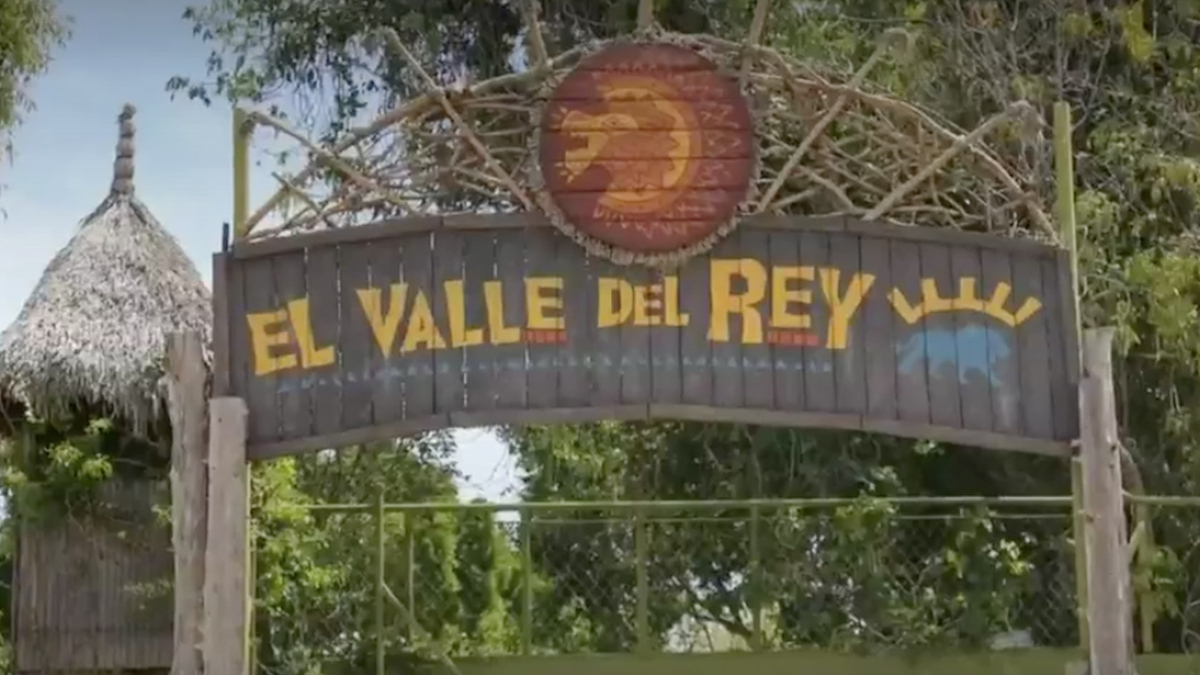 Africam safari prepara segunda rescate de felinos