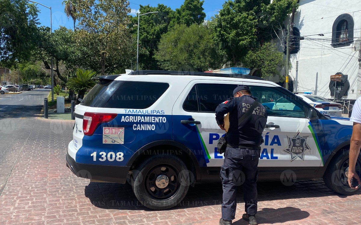 elementos de Protección Civil municipal, Policía Estatal, y Ejército Mexicano.