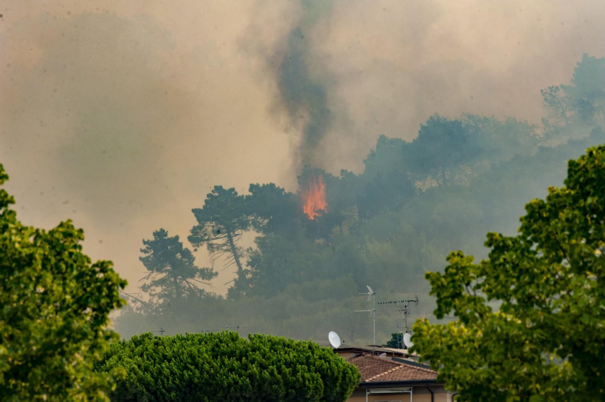 Italia, como varos puntos en Europa, han sufrido devastadores incendios en las últimas semanas. (EFE)