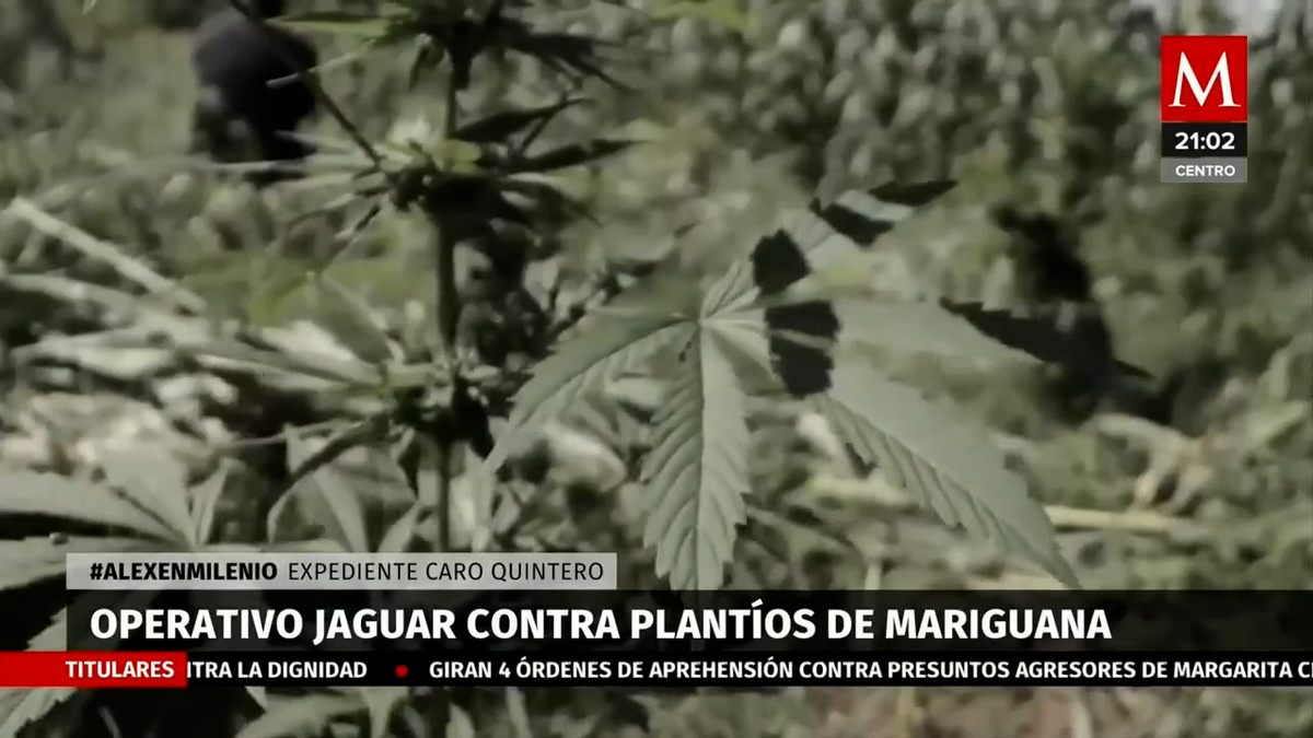 Fiscalía de EU solicitó desclasificar acusación contra Caro Quintero