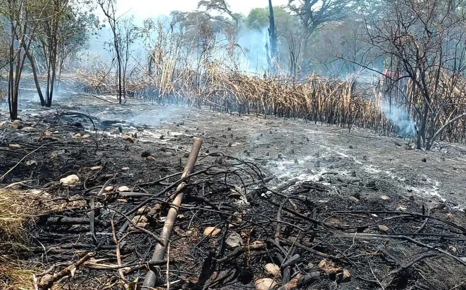 El fuego dejó sólo daños materiales. Foto: Fabricio Gallegos.