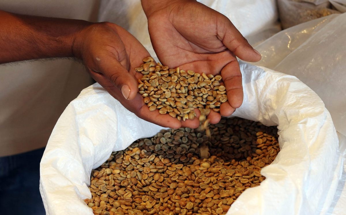 Posicionan al café de Puebla con subasta internacional | Especial