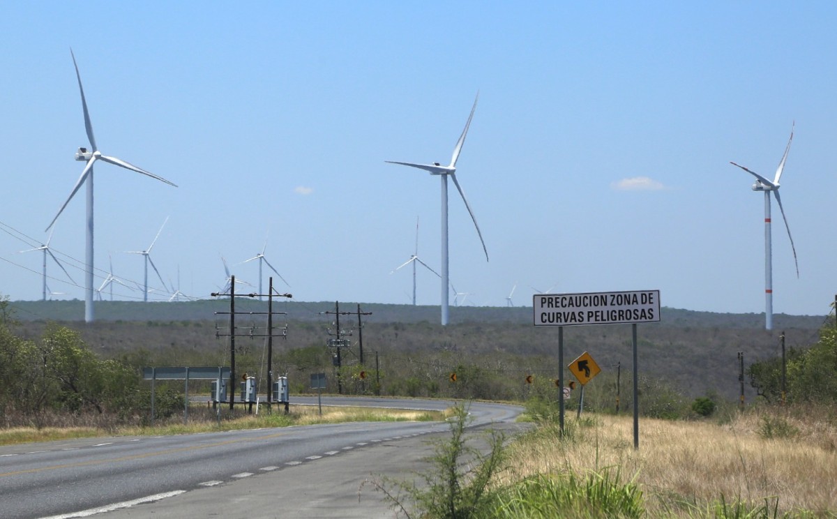 Tamaulipas cuenta con 14 parques eólicos en operaciones. | Foto: Yazmín Sánchez