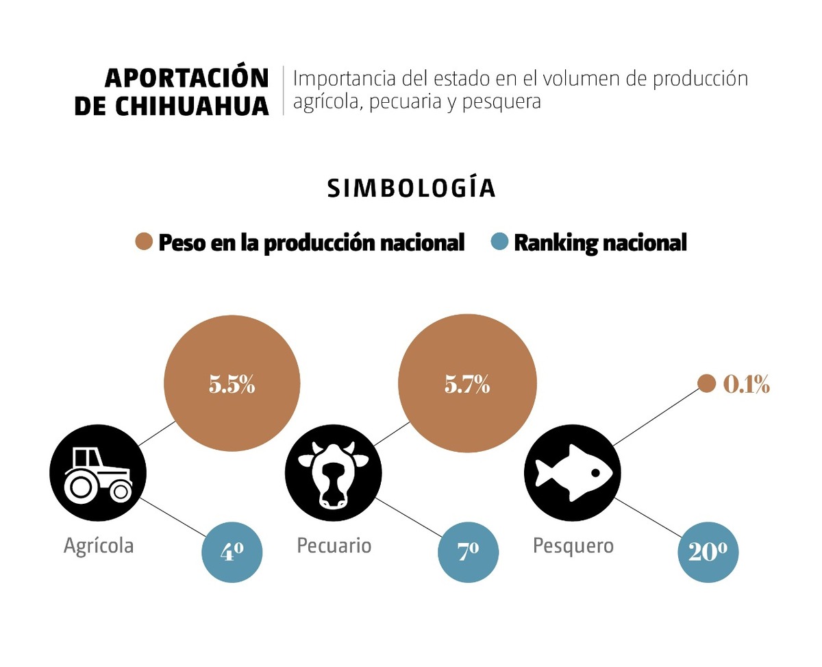 Aportación de Chihuahua. (Gráfico)