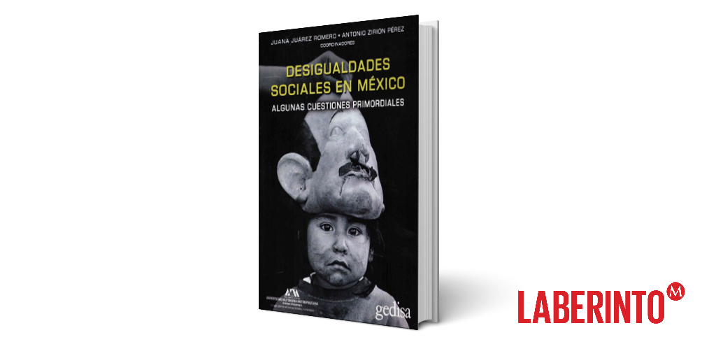 Desigualdades Sociales en México, Juana Juárez y Antonio Zirión (coord.)