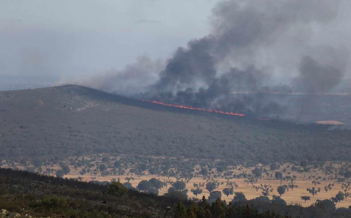 Los incendios en Europa producen un récord de emisiones de carbono. (Reuters)