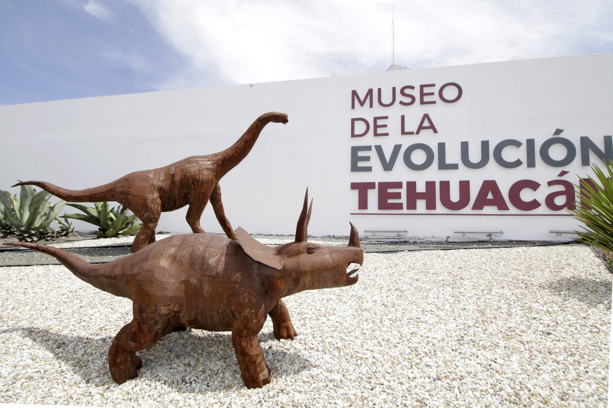 Museo de la Evolución en Tehuacán | Agencia Enfoque