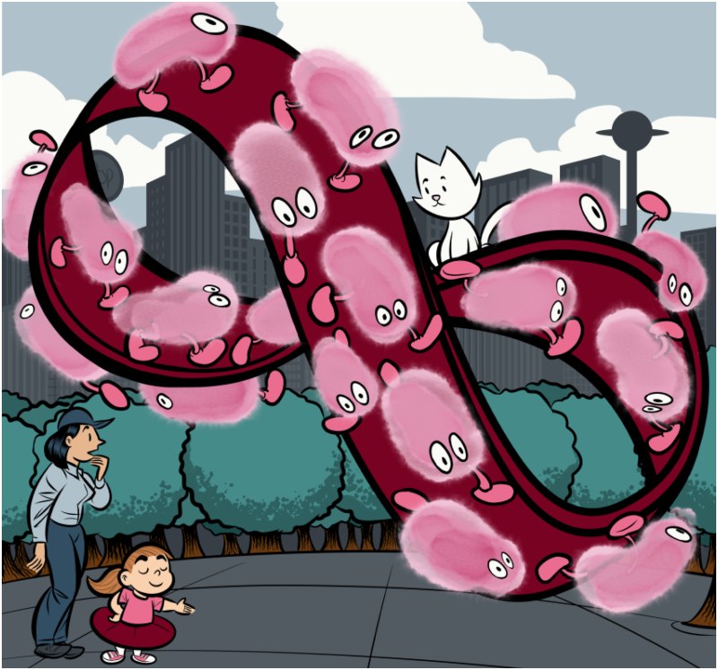 Sofia en el país del infinito