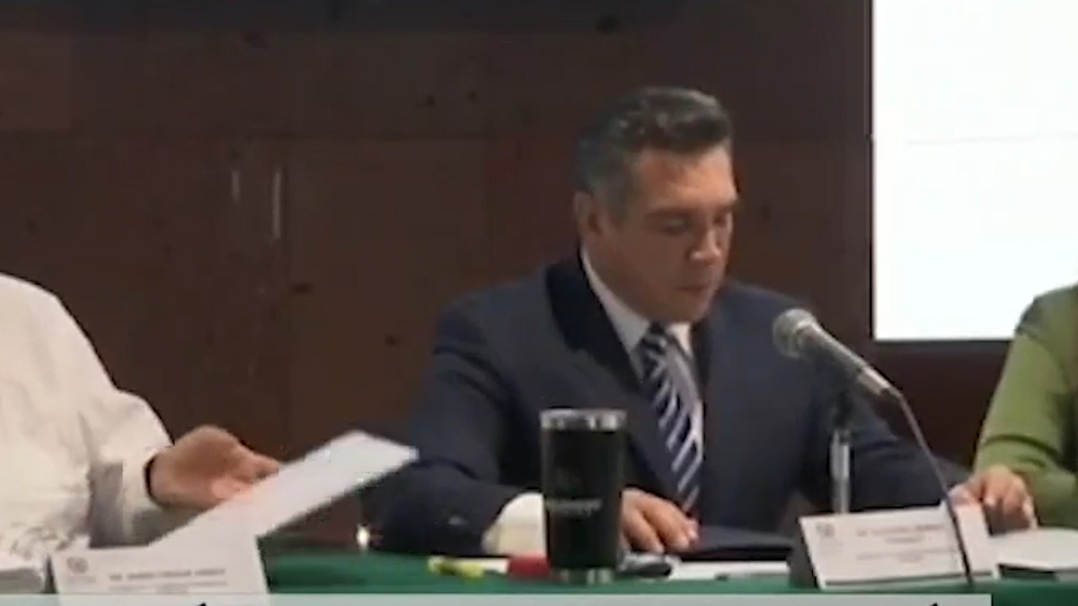 "Solo el pleno de la cámara puede destituir": Leonel Godoy