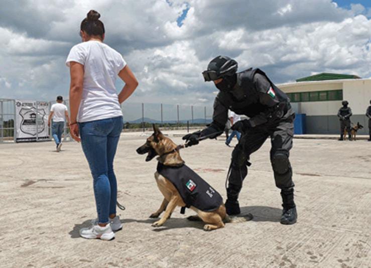 "No todos los perros son aptos para el apoyo policial" | Zuleyma García.