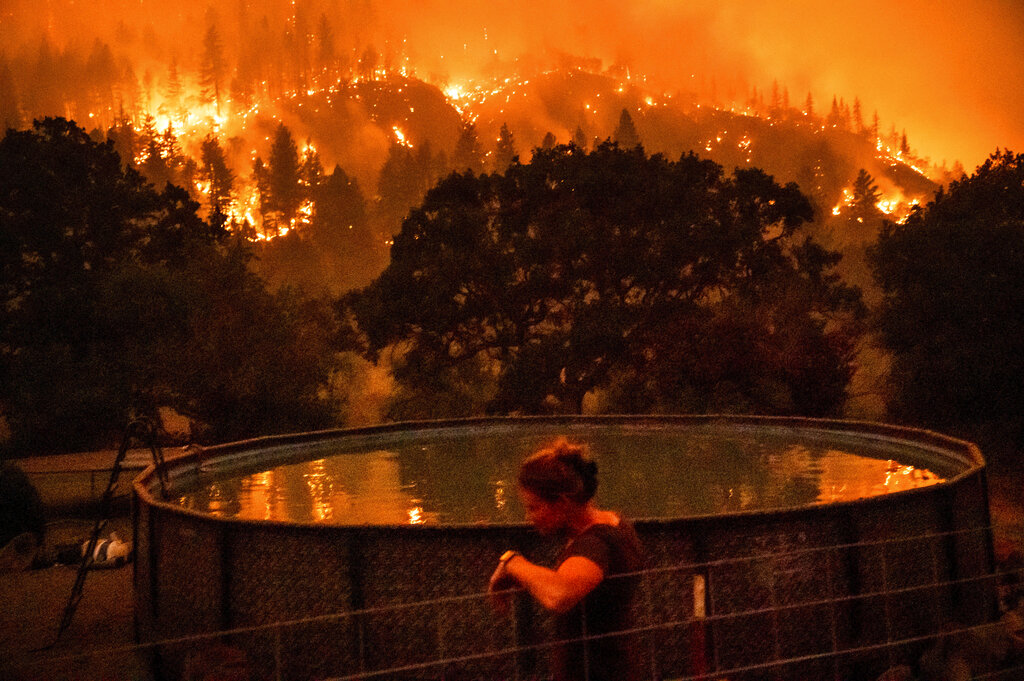 El incendio acabó con casi una veintena de residencias y llevó a gran cantidad de animales silvestres a huir de la zona. (AP)