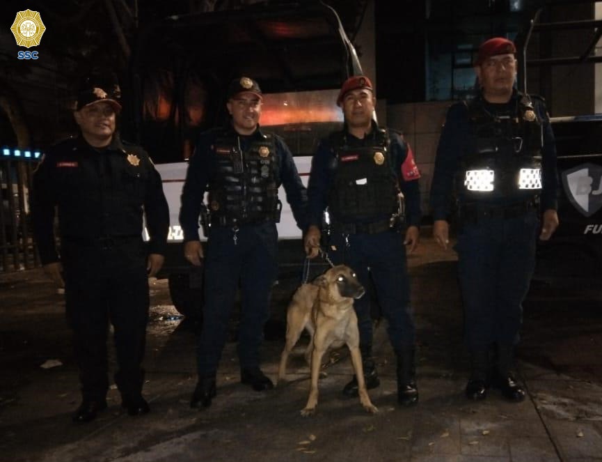 La perrita fue llevada a las instalaciones de la PBI en CdMx. (Especial)