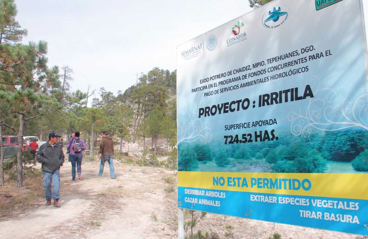 El programa Irritila nació en 2010 con el objetivo de realizar trabajos en la parte alta del Nazas. | Archivo
