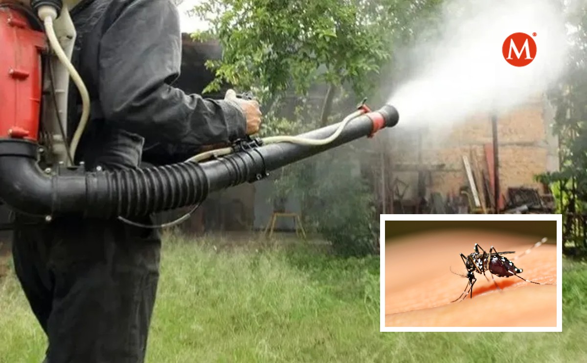 Urgen a vectores fumigar por proliferación de mosco en Pueblo Viejo