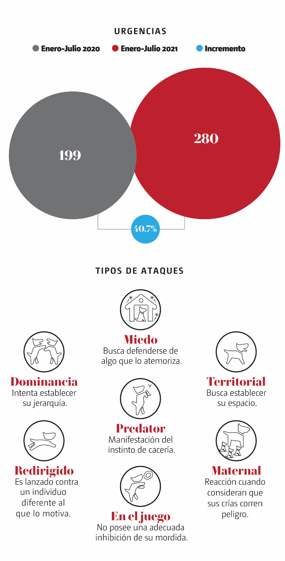 Ataques de perros atendidos