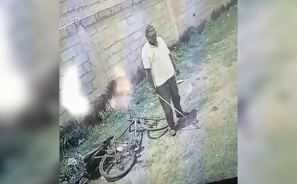 "Denuncian a vecino por matar perros en Toluca" | Especial.