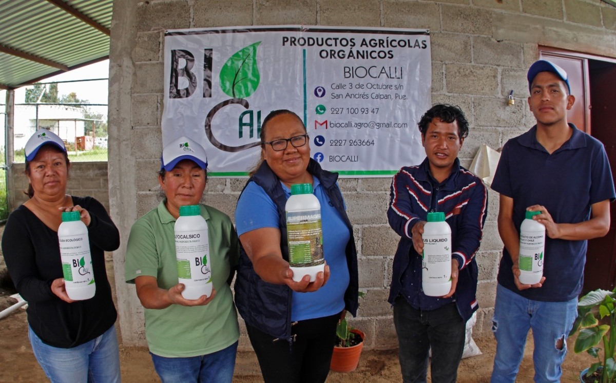 Surge primera biofábrica de Calpan para un campo libre de pesticidas | Melanie Torres