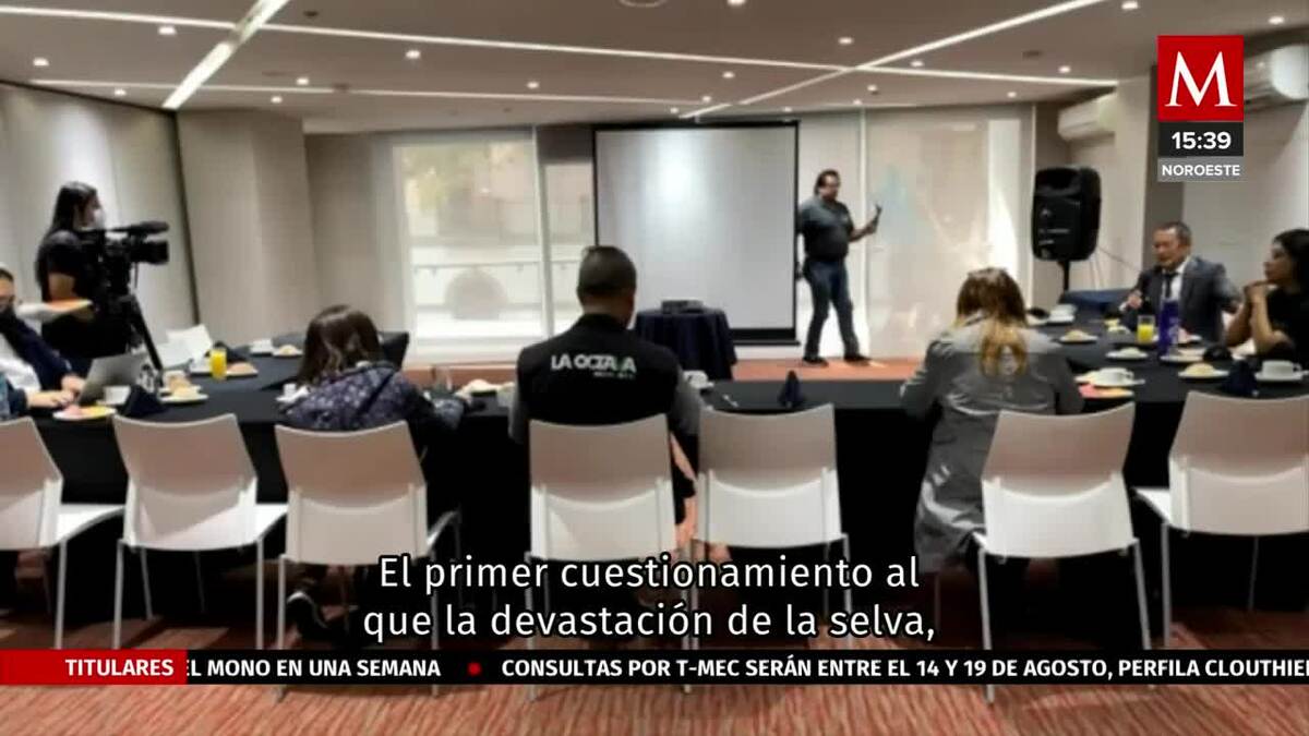 Juez admite ampliación de amparo para tramo 5 del Tren Maya