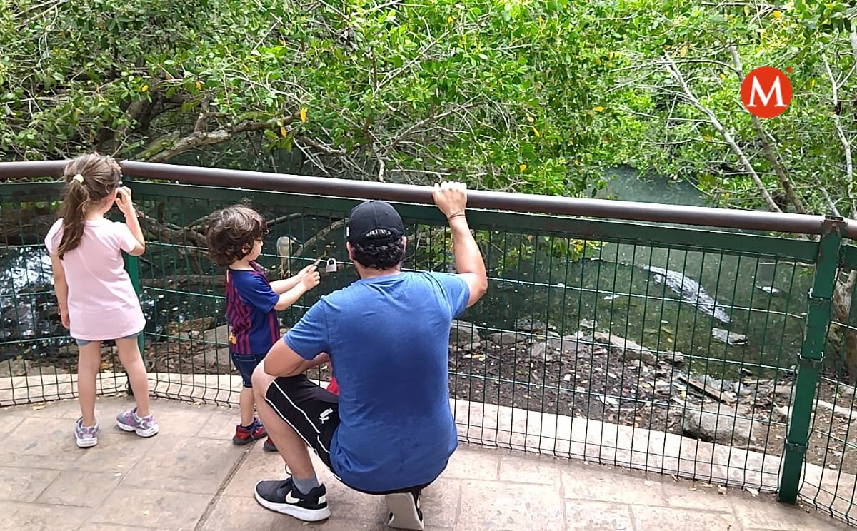 Turistas visitan la Laguna del Carpintero en Tampico pese a ataques de cocodrilos