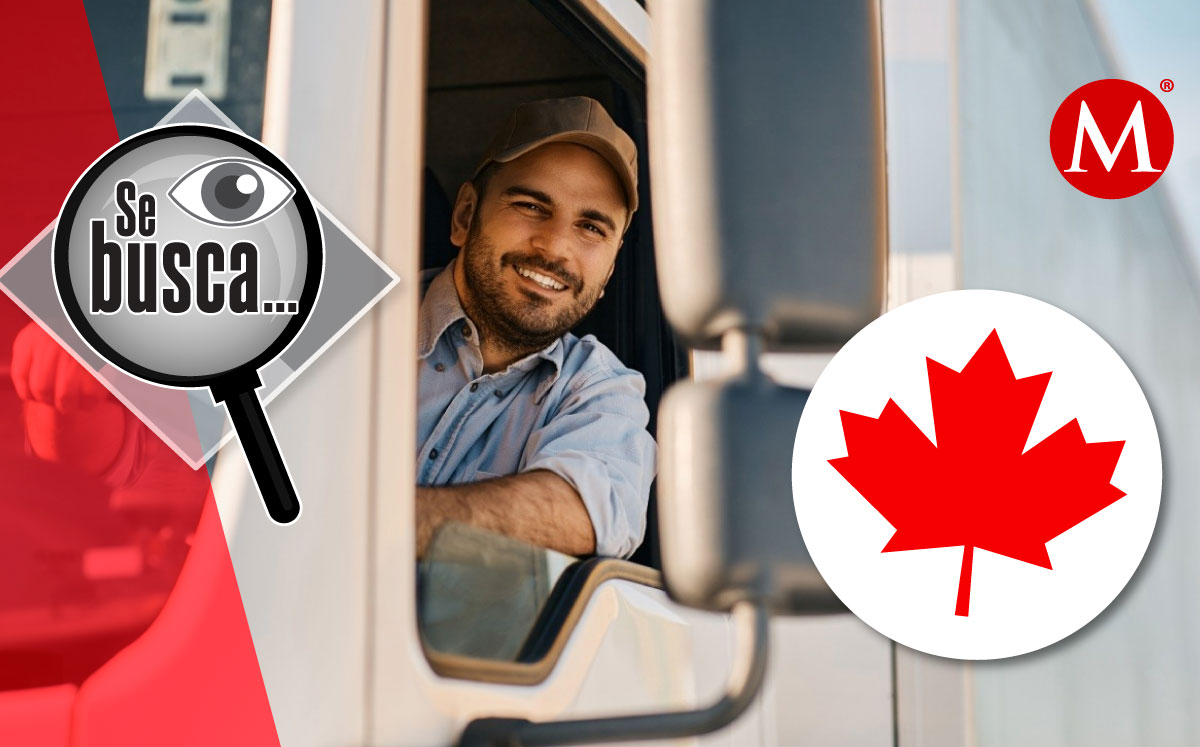 Si sabes conducir y tienes los permisos podrás aplicar a esta vacante. Foto: (Shuttertstock)