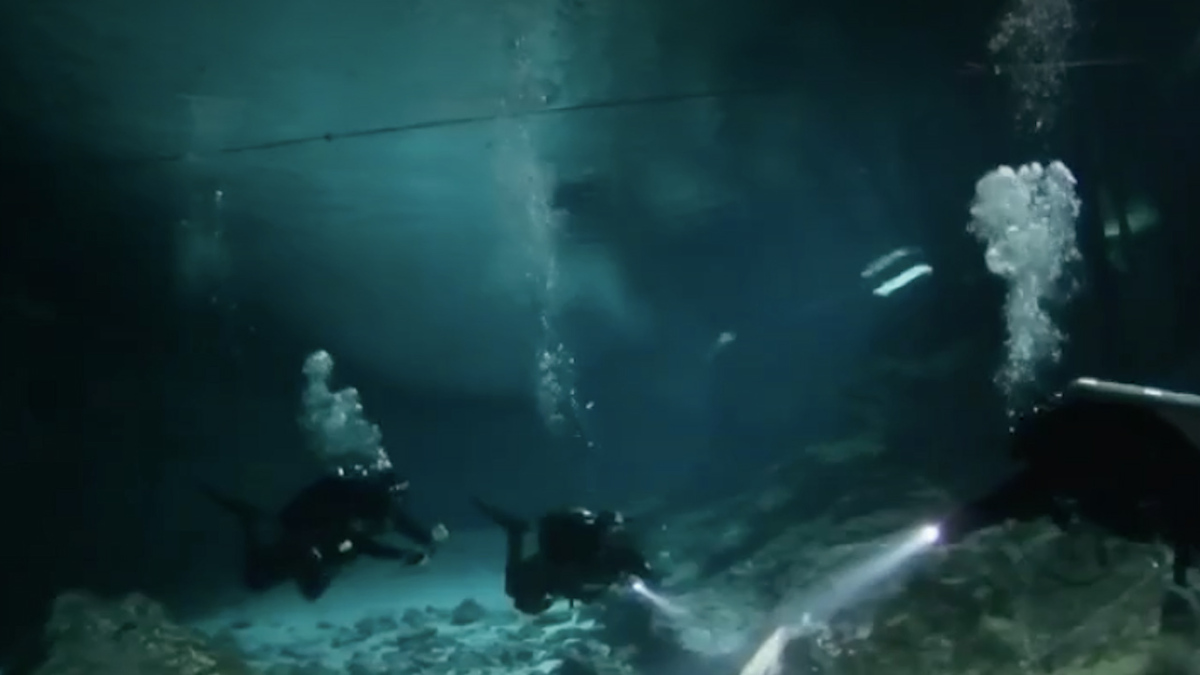 Crean equipo de rescate especializado en Tulum