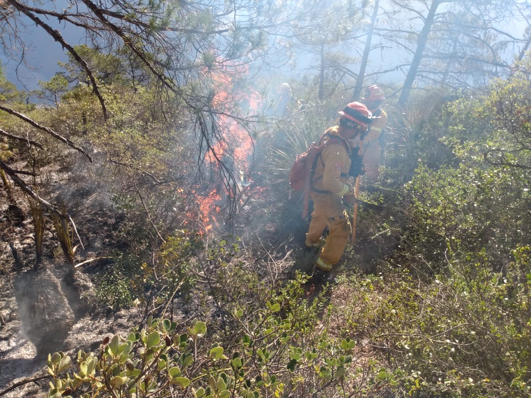 El incendio ha afectado 15 hectáreas. Foto: Protección Civil